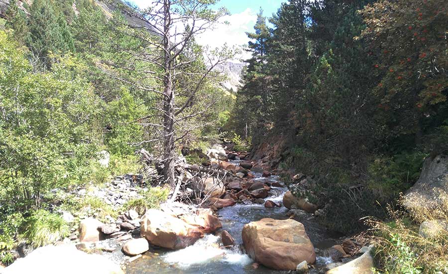 Río Cinqueta